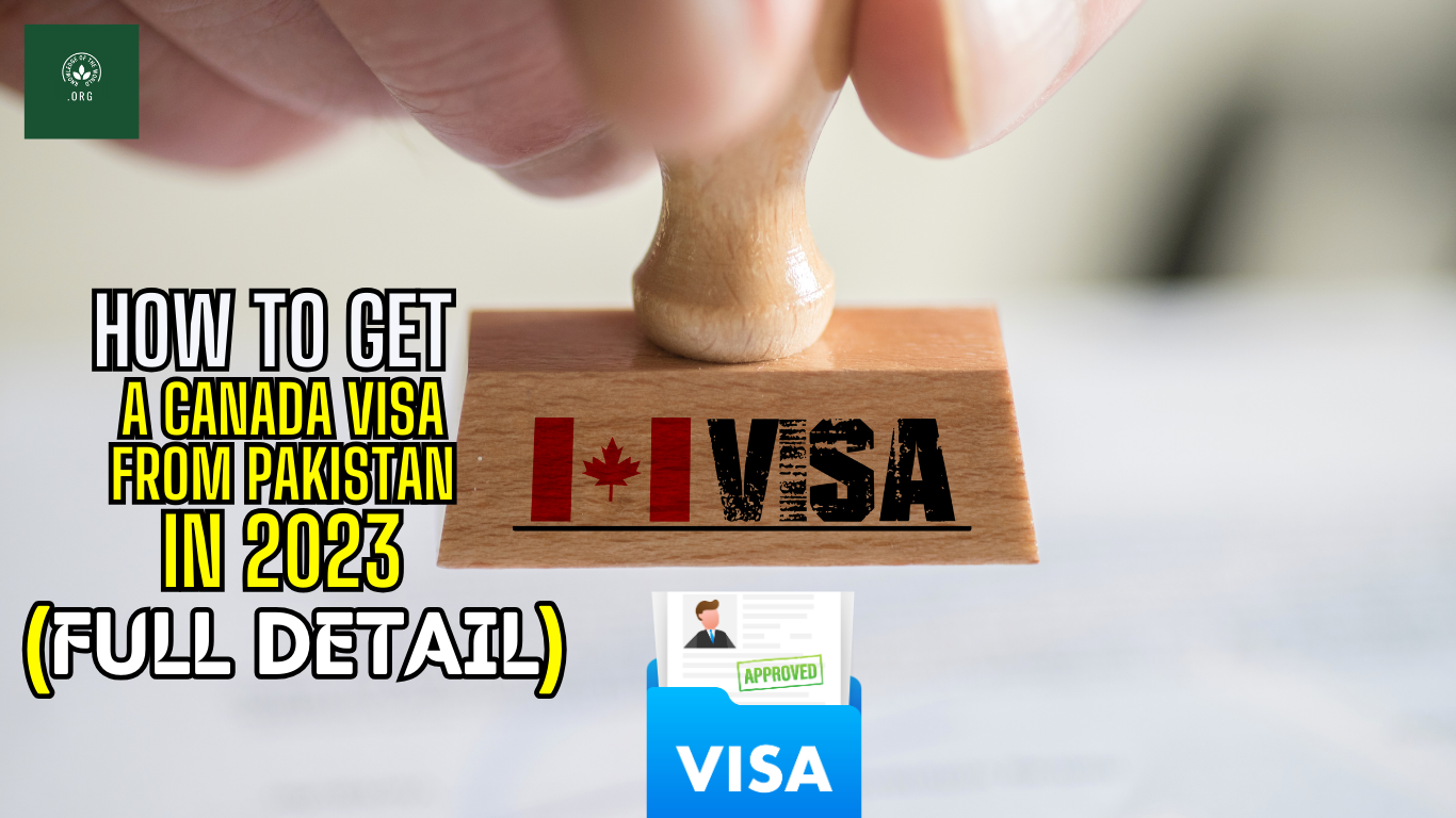 How to Get a Canada Visa From Pakistan in 2023 (full detail).png